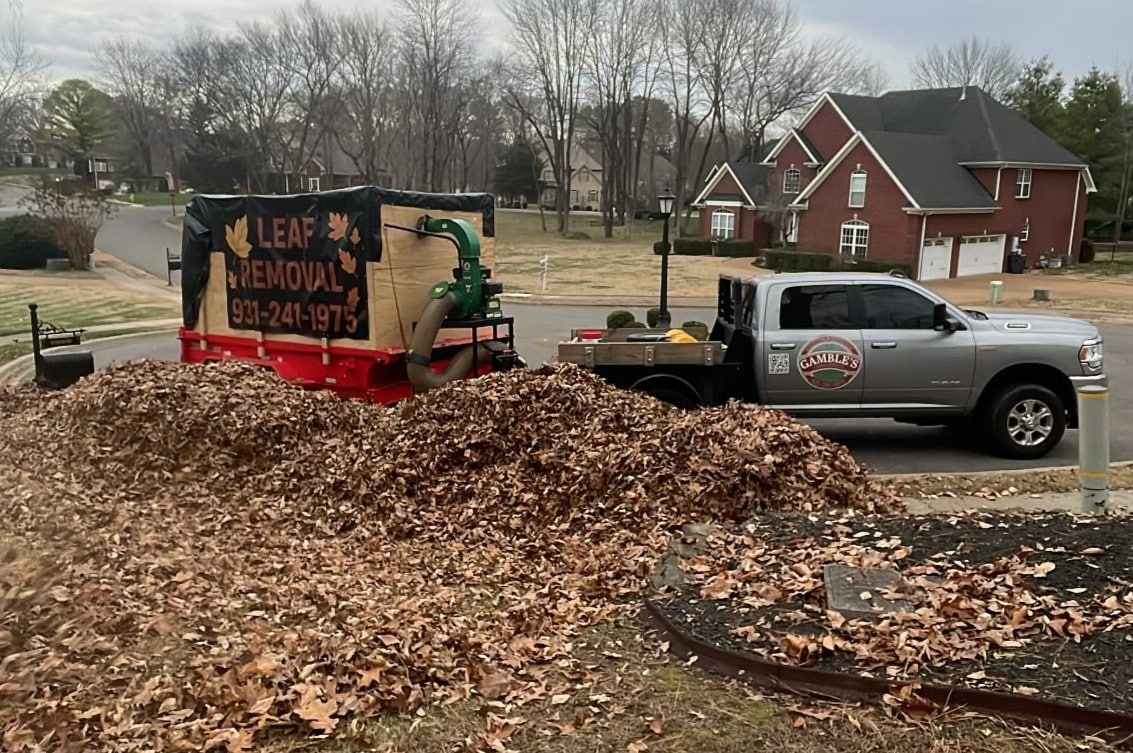 Fall Cleanup